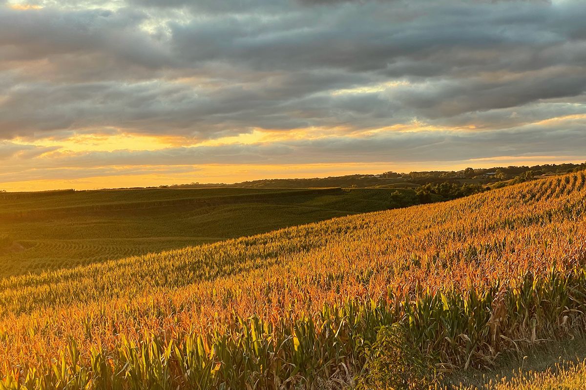 Sioux Center, IA